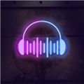 睿星音乐app2019旧版本下载安装
