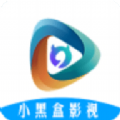 小黑盒影视软件车载版下载