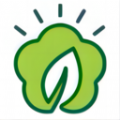 叶子影视播放器app下载最新版