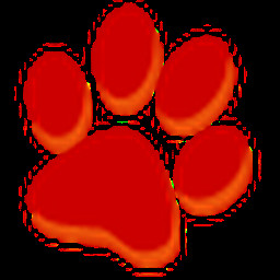 大猫影院安装包官方正版