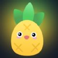 凤梨音乐app6.5.0.0版下载安装最新版本