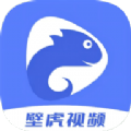 壁虎视频老版本下载2024